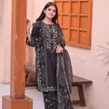 Khurd Ara 3 PC