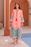 Dil Afroz 2 PC